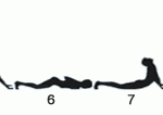 Surya Namaskar | Sun Salutation