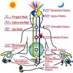 How Kundalini Yoga Is Related To Chakras?