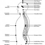Seven Kundalini Yoga Chakras
