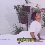 Bhujangasana | Cobra Pose